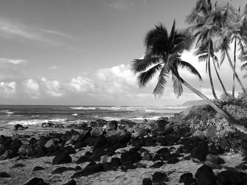 BLACK AND WHITE BEACH